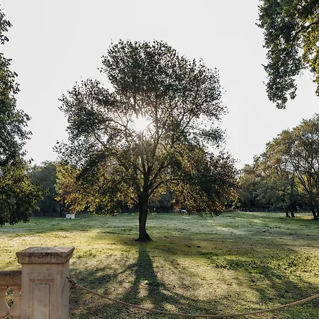 Domaine De Biar 4* Lavérune