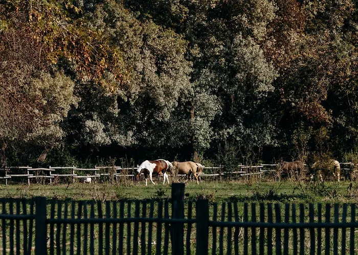 Hotel Domaine De Biar Lavérune