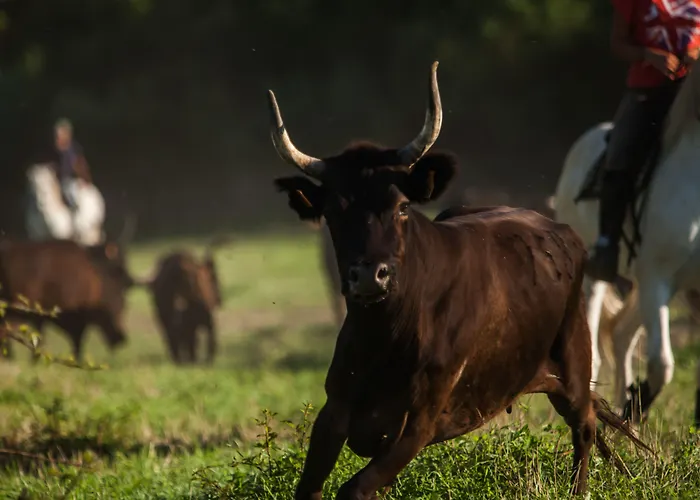 Domaine De Biar Ξενοδοχείο 4*